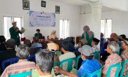 Peningkatan Nutrisi Jerami Padi, Mahasiswa KKN UBY Dorong Inovasi Pakan Ternak di Karangjati