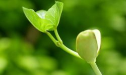 Tanah dan Nutrisi Tanaman, Kolaborasi Bareng EWRC Tahun 2022. Investasi hanya Rp. 150k