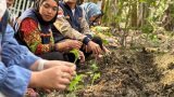 JOS! KKN Kelompok 9 Universitas Boyolali Hidupkan Kembali Taman Obat Keluarga di Dusun Kliyo, Bojong, Wonosegoro JOS! KKN Kelompok 9 Universitas Boyolali Hidupkan Kembali Taman Obat Keluarga di Dusun Kliyo, Bojong, Wonosegoro