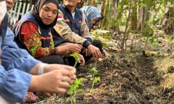 JOS! KKN Kelompok 9 Universitas Boyolali Hidupkan Kembali Taman Obat Keluarga di Dusun Kliyo, Bojong, Wonosegoro